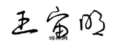 曾慶福王宙明草書個性簽名怎么寫