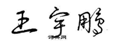 曾慶福王宇鵬草書個性簽名怎么寫