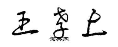 曾慶福王孝上草書個性簽名怎么寫