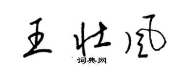 梁錦英王壯風草書個性簽名怎么寫