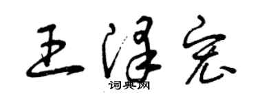 曾慶福王澤宏草書個性簽名怎么寫