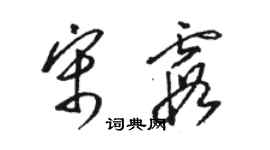 駱恆光宋霞草書個性簽名怎么寫