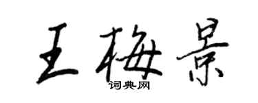 王正良王梅景行書個性簽名怎么寫