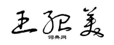 曾慶福王紀美草書個性簽名怎么寫