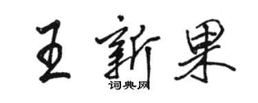駱恆光王新果行書個性簽名怎么寫
