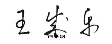 駱恆光王成樂草書個性簽名怎么寫