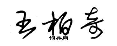 朱錫榮王柏奇草書個性簽名怎么寫