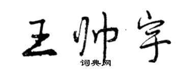 曾慶福王帥宇行書個性簽名怎么寫