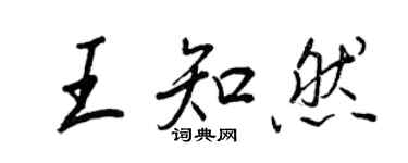 王正良王知然行書個性簽名怎么寫