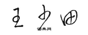駱恆光王少田草書個性簽名怎么寫