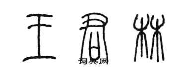 陳墨王君林篆書個性簽名怎么寫