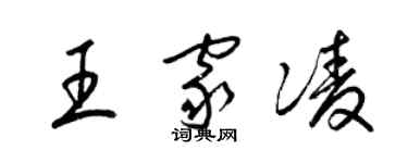 梁錦英王家凌草書個性簽名怎么寫