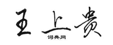 駱恆光王上貴行書個性簽名怎么寫