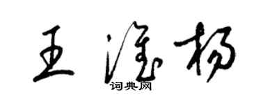 梁錦英王淮楊草書個性簽名怎么寫