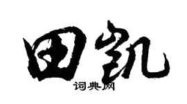 胡問遂田凱行書個性簽名怎么寫