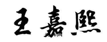 胡問遂王嘉熙行書個性簽名怎么寫