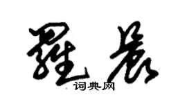 朱錫榮羅晨草書個性簽名怎么寫
