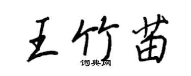 王正良王竹苗行書個性簽名怎么寫