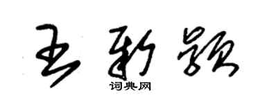 朱錫榮王新穎草書個性簽名怎么寫