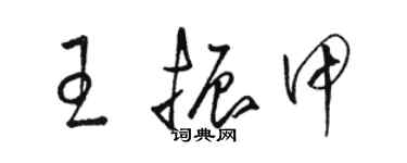 駱恆光王振甲草書個性簽名怎么寫