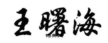 胡問遂王曙海行書個性簽名怎么寫