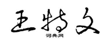 曾慶福王特文草書個性簽名怎么寫
