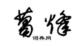 朱錫榮葛烽草書個性簽名怎么寫