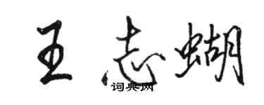 駱恆光王志蝴行書個性簽名怎么寫