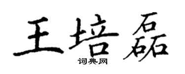 丁謙王培磊楷書個性簽名怎么寫