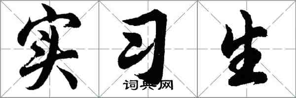 胡問遂實習生行書怎么寫