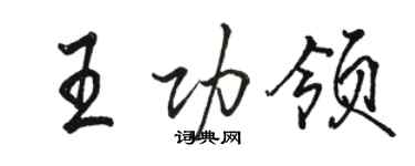 駱恆光王功領行書個性簽名怎么寫