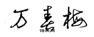 曾慶福萬春梅草書個性簽名怎么寫