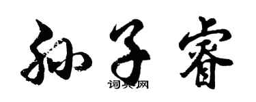 胡問遂孫子睿行書個性簽名怎么寫