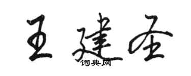 駱恆光王建聖行書個性簽名怎么寫