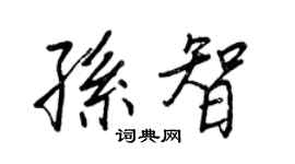 王正良孫智行書個性簽名怎么寫