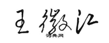 駱恆光王徽江草書個性簽名怎么寫