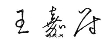 駱恆光王嘉尉草書個性簽名怎么寫