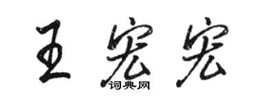 駱恆光王宏宏行書個性簽名怎么寫
