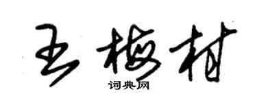 朱錫榮王梅村草書個性簽名怎么寫