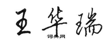 駱恆光王華瑞行書個性簽名怎么寫