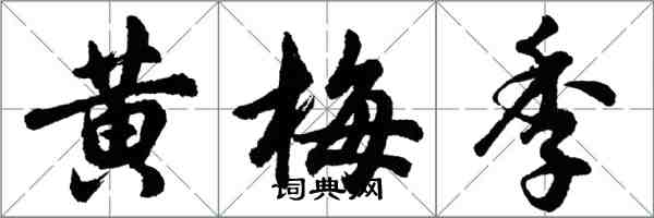 胡問遂黃梅季行書怎么寫