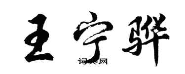 胡問遂王寧驊行書個性簽名怎么寫