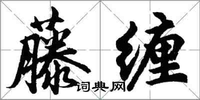 胡問遂藤纏行書怎么寫