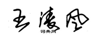 朱錫榮王凌風草書個性簽名怎么寫