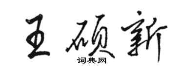 駱恆光王碩新行書個性簽名怎么寫