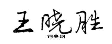 曾慶福王曉勝行書個性簽名怎么寫