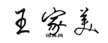 駱恆光王家美行書個性簽名怎么寫