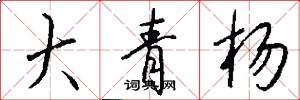 大青楊怎么寫好看