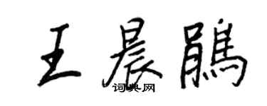 王正良王晨鵑行書個性簽名怎么寫