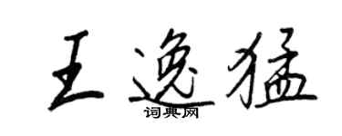 王正良王逸猛行書個性簽名怎么寫